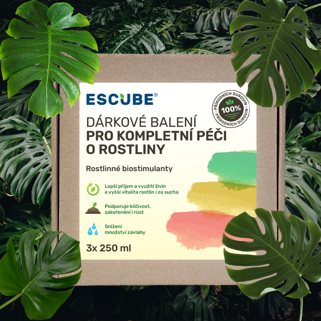 Dárkové balení 3_cz--cs-CZ